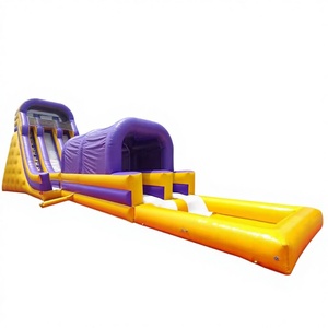 Giant Indoor/Outdoor Party <b>Inflatable</b> Water Slide for Adults with Swimming Pool Toboggan Shopping Mall Use 500kg Capacity - Product Image 1