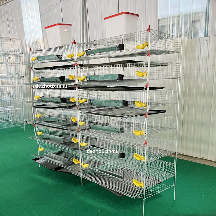 XINMU, высокое качество, новинка, холодная оцинкованная проволочная сетка, клетка для перепелиной батареи, автоматическая Питьевая 1 год гарантии для производства яиц