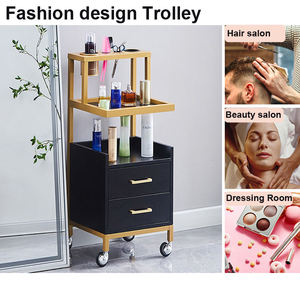Direct Factory Sale Iron Beauty <b>Tool</b> Car Hair Salon <b>Trolley</b> for Home Office Bedroom & Apartment Use - Product Image 6