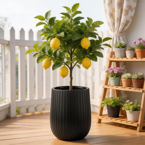 Fleid HDPE Contemporary Floor Vase <b>Planter</b>-Durable Eco-Friendly Lightweight Reusable Unbreakable Fade Resistant Party Wide Mouth - Product Image 6
