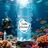 Eau pétillante aromatisée au citron vert sans sucre 330ml Zero Guilt OEM ODM disponible avec des saveurs personnalisables