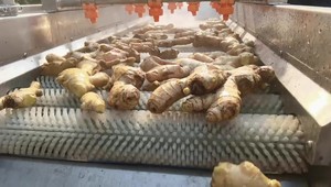 Machine à laver industrielle tomate <span class=keywords><strong>banane</strong></span> piment moule date propre nettoyant canne à sucre orange fruit 100kg - Product Image 6