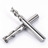 Fraise à queue en carbure monobloc à 2 dents pour aluminium, cuivre, alliage de zinc, fraise de fraisage CNC non revêtue