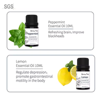 Huiles essentielles biologiques pures gros arbre à thé menthe poivrée lavande diffuseur arôme avec des ingrédients de pin