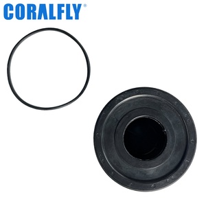 Filtro de Combustible de Cartucho para Motor FS20117 278609119910 50118182, Pieza de Repuesto Original de Fábrica Coralfly - Product Image 2