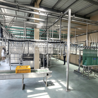 Ligne complète d'abattage de poulets 500-1000BPH, machine d'abattage de volailles pour abattoir et usine de transformation de poulets