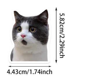 50PCS Funny Cat Meme Stickers Set Étanche, pour Scrapbooking, Bricolage Artisanat, Ordinateurs Portables, Étuis de Téléphone - Product Image 4