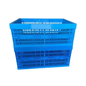 100% Virgin PP Collapsible Plastic Crates For Logistics And Warehouse