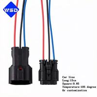 Conectores de Cableado Eléctrico Personalizados, Conector de Cableado Automotriz 1P/2P/3P/4P/6P/8P/12P/14P/16P con Cables