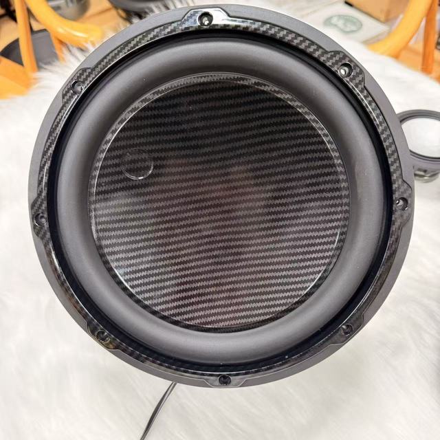10 Inch Glossy Carbon Fiber Car Subwoofer High Power Bass Speaker