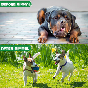 Oimmal 100% Natural Liquid Dietary Supplement Herbal De-Wormer Drops with Probiotics <strong>for</strong> <strong>Dogs</strong> Immunity Boost Improve Digestion - Product Image 3