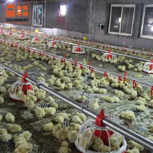Equipo de granja de aves de corral, bebedero automático de pollos, sartén, suministro de línea de alimentación de aves de corral, alimentadores de pollos de plástico ABS
