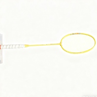 Raqueta de Fibra de Vidrio y Aluminio para Entrenamiento Amateur, Marco Rígido Integrado, Alta Elasticidad, Duradera y Fácil de Usar