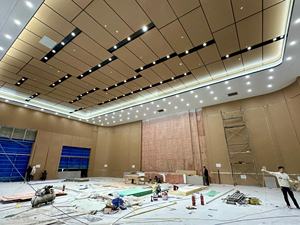 नए डिजाइन कार्बन क्रिस्टल बोर्ड WPC दीवार पैनल इनडोर सजावट होटल कार्यालय को निलंबित कर दिया गया बांस चारकोल लकड़ी वेनर पैनल - Product Image 3