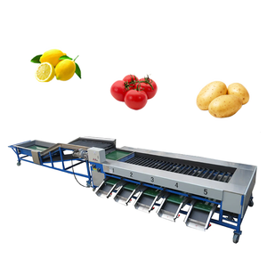 Machine automatique de tri et de calibrage des fruits et légumes pour pommes de terre, tomates, avocats, bleuets, cerises - Acier inoxydable 304 - Product Image 2