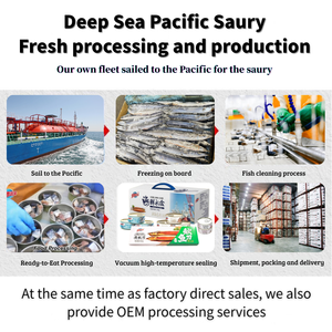 Saury Congelado Comercial # 1~ # 5 Certificados ISO HACCP HALAL, Empaque a Granel <span class=keywords><strong>de</strong></span> 10 kg/caja, Flota Propia <span class=keywords><strong>de</strong></span> Transporte Marítimo, Suministro Directo para Catering - Product Image 6