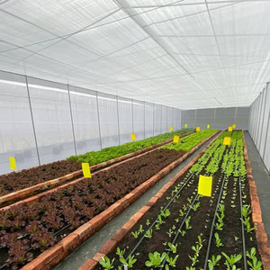 โรงเรือนเพาะปลูกพลาสติกทรงโค้งคู่ Skyplant Agriculture สำหรับปลูกพืชและเพาะชำ - Product Image 3