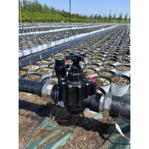 Válvula solenoide de riego Zanson de 63 tubos y 200P, válvula de control de agua normalmente cerrada de 1 pulgada con control remoto inalámbrico - Product Image 5