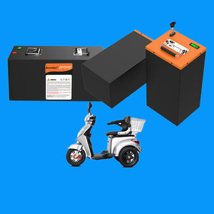 Безвредный для окружающей среды генератор мощности 48В 60В 72В литий-ионная аккумуляторная батарея для зарядки Ноута и сотового телефона 500W-5000W с ограниченными возможностями 3-х колесный электрический скутер Электрический трехколесный велосипед - Product Image 2
