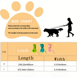 <span class=keywords><strong>Laisse</strong></span> de <span class=keywords><strong>chien</strong></span> <span class=keywords><strong>rétractable</strong></span> en PVC vert rose corde étanche de 6m avec des caractéristiques personnalisées <span class=keywords><strong>laisse</strong></span> de <span class=keywords><strong>chien</strong></span> à motif solide - Product Image 6