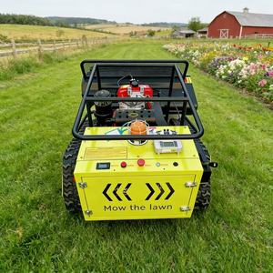 Dizel Motorlu Tarım Çim Biçme Makinesi, Arazi Temizliği İçin Dört Zamanlı Motorlu Meyve Bahçesi Çim Biçme ve Çapalama Makinesi - Product Image 3