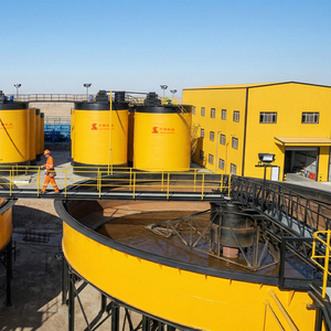 Impianto CIP per la Lisciviazione dell'Oro su Piccola Scala, Macchina Chiavi in Mano per l'Estrazione Mineraria e la Lavorazione dei Reagenti - Product Image 4