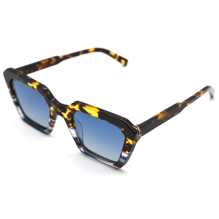 C1 Tortoise/Gradient Blue