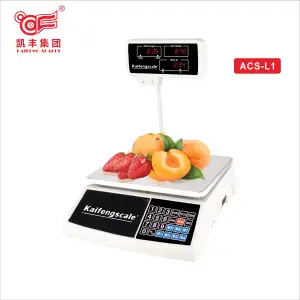 Factory outlet Preços 30kg ACS-L1 Digital balanças electrónicas Escala Computador Com Pólo