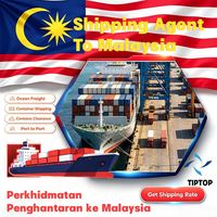 Agente de envío Envío marítimo de Malasia Puerto de Penang Empresa de transporte de carga Servicios de logística International Express Courier