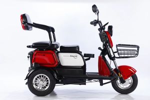 Triciclo Eléctrico de Pasajeros, Scooter de Tres Ruedas con Techo - Product Image 1