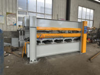 Presse à chaud hydraulique pour portes en bois, contreplaqué, MDF, machine de pressage pour le travail du bois, pressage de placages de bois