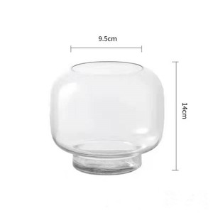 Vase nordique simple en verre transparent, arrangement de fleurs hydroponiques pour la décoration de table de salon - Product Image 6