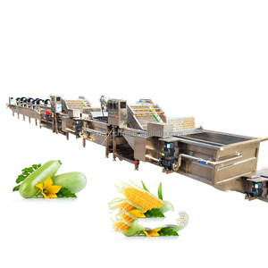 500kg/h <b>Top</b> Quality Fruit and Vegetable Processing Line Vegetable Washing Machine <b>Bubble</b> Vegetable Washing Machine On Sale - Product Image 2