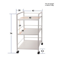 Chariot de cuisine moderne à 2 niveaux en fer avec roulettes, chariot utilitaire roulant, support de rangement multifonction écologique pour condiments