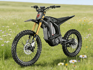 Nuova Moto Elettrica da Fuoristrada Arctic Leopard Endure 2026, 20kW, 600Nm di Coppia, Velocità Massima 101km/h, Batteria 72V 55Ah, Ultra Bee - Product Image 3