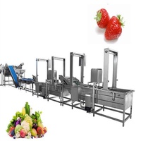Hoe maak je goede, verse, diepvriesfruit en -groenten? Was-, blancheer-, koel- en IQF-verwerkingsmachinelijn.