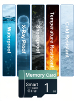 Tarjetas de Memoria de Baja Capacidad a Precio Económico al por Mayor, Accesorios para Equipos, Tarjetas de Memoria TF C6 de 64MB, 128MB, 256MB, 512MB, 1GB, 2GB, Tarjetas SD