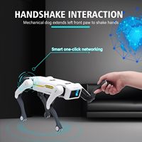 Chien Robot Intelligent – Animal de Compagnie Interactif avec Contrôle Vocal, Plus de 30 Actions et Programmation via Application, Conception Durable pour Enfants de 6 Ans et Plus