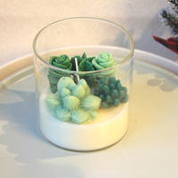 Vente chaude Nouvelle Arrivée Bougies Arômes Verre De Cire D'abeille Succulente En Pot De Cire De Soja Pot De Verre Bougies Parfumées