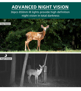 Caméra de surveillance de la faune RD3009L, vidéo 4K, <span class=keywords><strong>photo</strong></span> 30MP, étanche IP66, détection de mouvement SD, chasse avec vision <span class=keywords><strong>nocturne</strong></span> de 65 pieds - Product Image 6