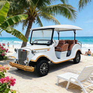 Coches clásicos retro vintage de color personalizado/coches eléctricos vintage, ideales para transporte en clubes y comunidades. - Product Image 1