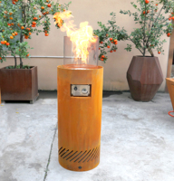 Chauffages à gaz personnalisés OEM/ODM, cheminées à bois, fosses de feu de Camping pliables