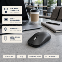 Souris sans fil double mode 2,4 GHz, design exclusif, molette métallique, 1600 DPI, 4 boutons, Type C pour le bureau