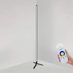 Modern Lounge Floor Lamp Multi Changing Effects 16 Million RGB Colorful Dream Colors Creative Floor Lamp