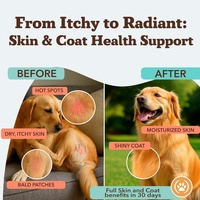 Layanan OEM/ODM Suplemen Anjing Kolagen Tetes dengan Omega 3 yang Meredakan Gatal dan Alergi Musiman