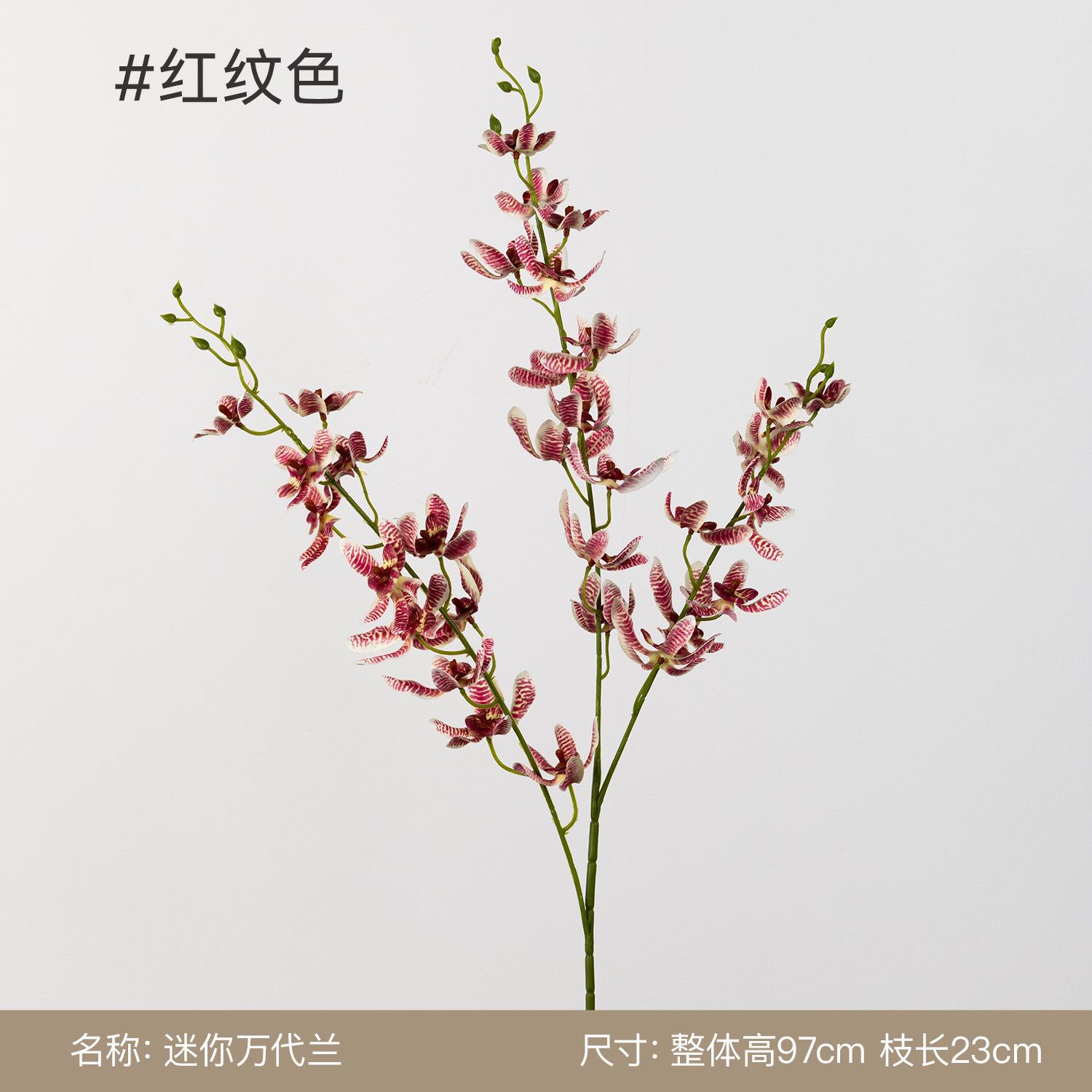 3-branch mini vanda-red striped