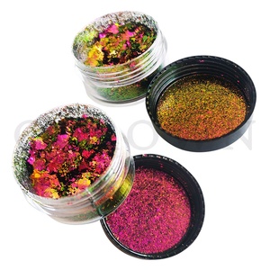 ผง<span class=keywords><strong>สี</strong></span><span class=keywords><strong>ประกาย</strong></span>กิ้งก่าเกล็ด,สำหรับทาเล็บ - Product Image 6