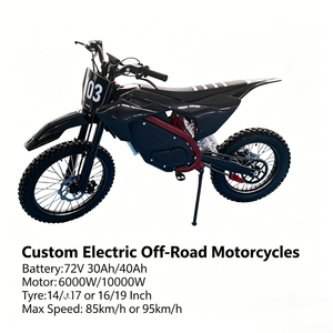 Motocicleta Todoterreno Personalizada OEM ODM, 72V 3kW 5kW 6kW 10kW, Motor sin Escobillas, Velocidad 95km/h, Venta al Por Mayor - Product Image 2