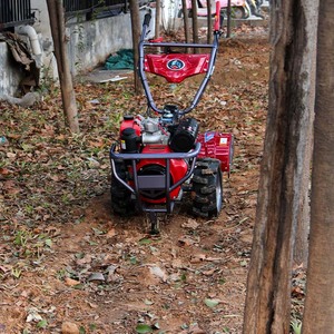 Motor de Alta Productividad para Agricultura, Motocultor Rotatorio, Motocultor con Engranajes, Mini Tractor - Product Image 5