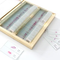 100 PCS Professional Medical Study Education products Human Histology Slides Microscope Slides